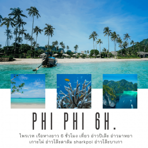 เกาะพีพีดอน+เกาะพีพีเล+เกาะแบมบู จุดเด่นๆ 6  ช.ม.(Private)