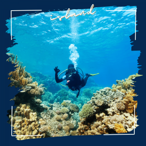Try Diving-Scuba Diving